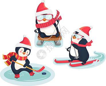 冬季活性企鹅概念滑雪滑雪板围巾竞赛运动滑雪者活动冰球雪堆雪橇图片