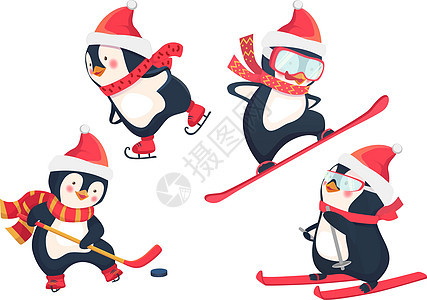 冬季活性企鹅概念滑冰滑雪板滑雪插图卡通片动物滑雪者竞赛孩子帽子图片