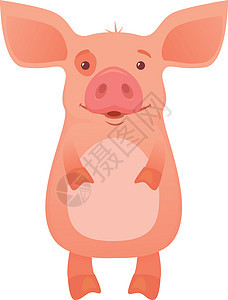 可爱猪漫画荒野动物卡通片公猪背景图片