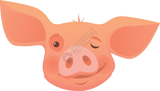 粉红猪头农场插图小猪母猪动物背景图片