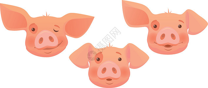 粉色猪头农场母猪动物插图小猪背景图片