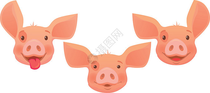 粉色猪头婴儿农场动物插图小猪母猪背景图片