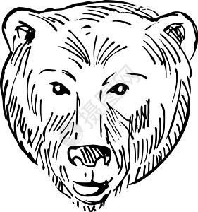 棕熊或灰熊Scratch板风格黑白图片