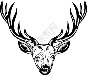 雄鹿巴克或鹿头前视图复古木刻黑色和白色图片