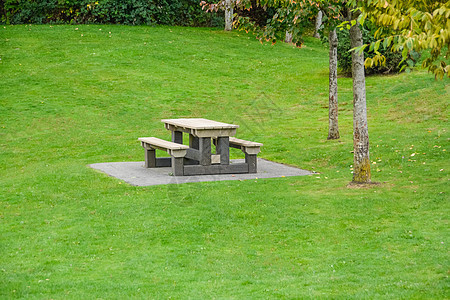 公园绿草坪上的餐桌和长椅图片