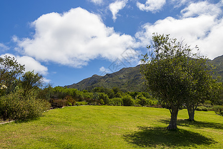 地貌和山地 基尔斯滕博希国家植物园全景 开普敦草地公园蓝色观光花园旅行国家森林树木植物图片