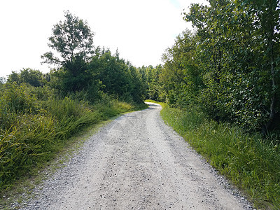 带石头 绿草和林木的道路植物绿色远足鹅卵石小路树木岩石图片