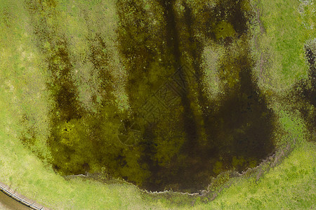 农业田地洪水的空中摄影照片 20002001年供水衬套生态灌溉杂草农场栖息地树木家畜灌木丛图片