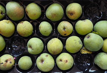 绿梨果食品青梨植物营养食物美食饮食水果图片