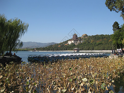 中国北京  2016年11月1日 中国北京寺庙宗教花园宝塔天空旅行历史文化地标蓝色图片