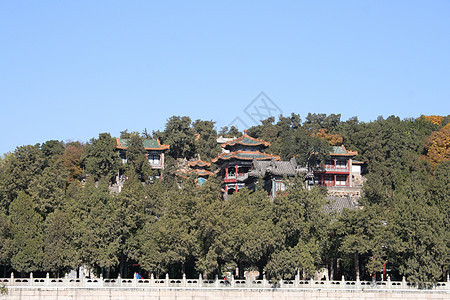 中国北京  2016年11月1日 中国北京花园建筑吸引力历史性宝塔佛教徒宗教地标寺庙文化图片
