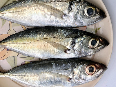 盘子上的新鲜鱼盐水鲭鱼餐厅营养市场鲱鱼动物饮食钓鱼海洋图片