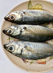 盘子上的新鲜鱼鲭鱼市场饮食厨房鳟鱼海鲜动物海洋销售钓鱼图片