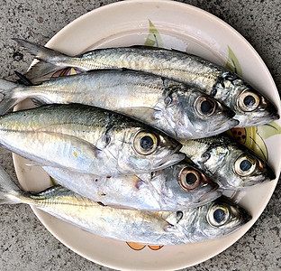 盘子上的新鲜鱼美食盐水烹饪销售鲱鱼饮食厨房动物鳟鱼鲭鱼图片