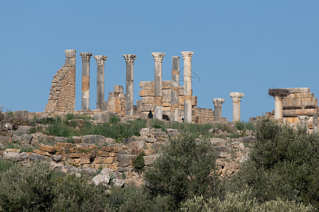 Volubilis是摩洛哥Meknes市附近一个部分挖掘的柏柏尔城旅游纪念碑考古学历史性柱子废墟王国寺庙考古石头图片