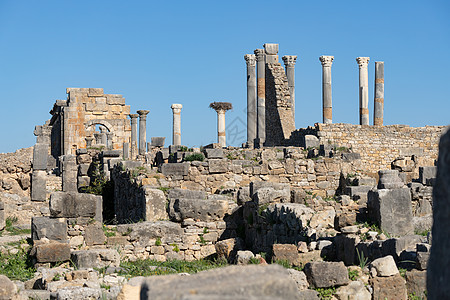 Volubilis是摩洛哥Meknes市附近一个部分挖掘的柏柏尔城纪念碑考古寺庙帝国石头旅游废墟首都柱子考古学图片