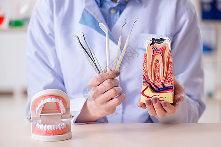 牙科牙医练习牙齿模型的工作博主卫生医院治疗矫正神经口腔科保健牙科学诊所图片