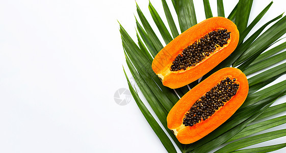 热带棕榈叶上甜美的成熟木瓜橙子营养果汁种子甜点树叶植物丛林维生素水果图片