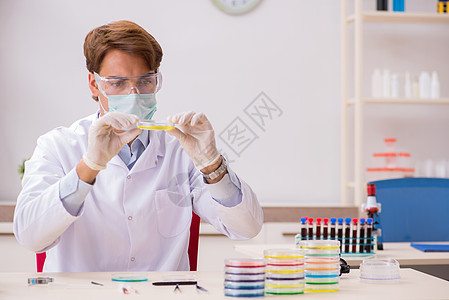 在实验室工作的年轻化学家样本医生指标化学管道药品科学实验制药菜肴图片