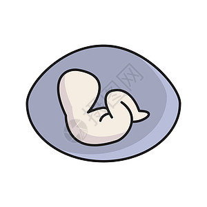 胚胎图片