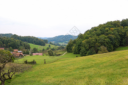 山地绿草原 在雾雾的早晨旅行顶峰日出山脉薄雾土地阳光旅游森林植物群图片