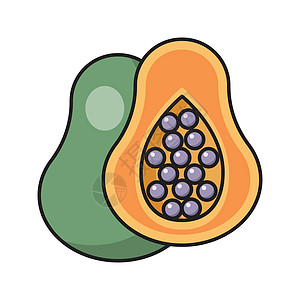 粮食食品异国甜点插图果汁木瓜种子饮食热带营养情调图片