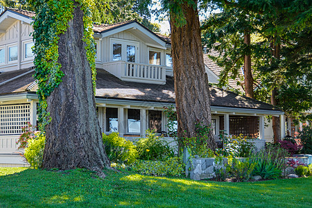 前面有棵大树的老旧住宅图片