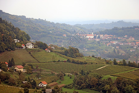 葡萄园谷的顶端景色和山上的乡下图片