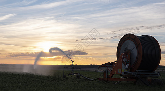 日出时 在法国的规范地农村地区喷洒水环境土壤食物喷雾器农田天空灌溉植物蔬菜技术图片