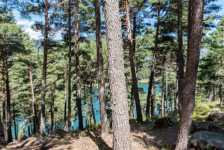 夏季下午在比利牛斯湖的湖反射内酯树木城市山脉旅行旅游地标森林天空图片