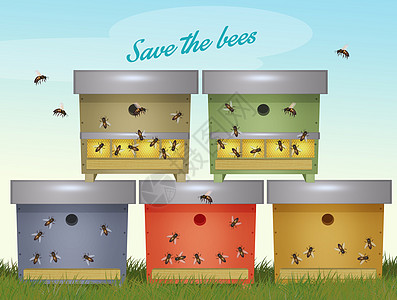 蜂巢中的蜜蜂聚居地昆虫灭绝麻疹插图细胞动物航班条纹养蜂业行星图片