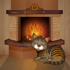 在壁炉前面的猫火焰砖块危险加热燃烧烧伤木头动物插图图片