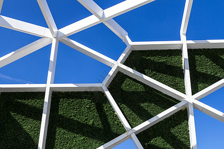 垂直花园建筑学绿色建筑花园移植物草皮天空框架植物细胞图片