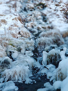 冬季冰冻的山峰 冬天冰冰冰蓝色地面季节瀑布宏观冻结天气磨砂植物雪花图片