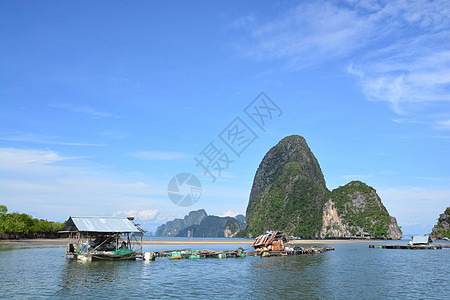 养鱼业植物天空水产水库团体海洋商业钓鱼池塘食物图片