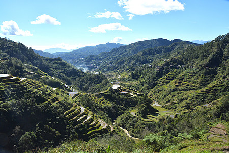 山区谷地和大米田地在露台 灌溉菲图加 巴努埃 菲律宾场地稻田农民日落森林爬坡食物热带农场天空背景图片