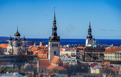 爱沙尼亚首都的地块城市历史性全景大教堂房子建筑地标红色旅游建筑学图片
