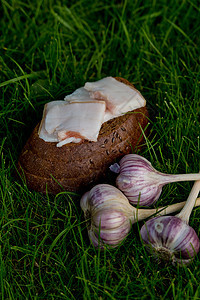 草原上有大蒜 猪油和面包白色早餐黑色美食饮食绿色木板小吃食物烹饪图片