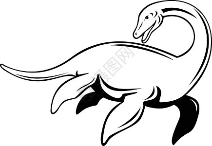 Niseag或Nessie游泳边黑白深水区图片