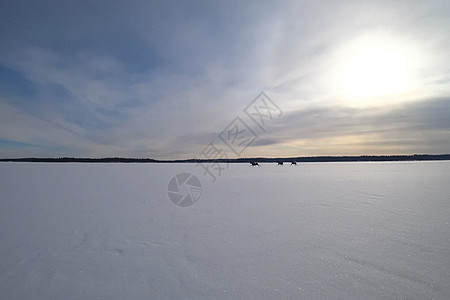 驼鹿在冰冷的湖上奔跑 冬天和冰雪在湖边皮肤毛皮跑步外套动物荒野鼻子鹿角麋鹿季节图片