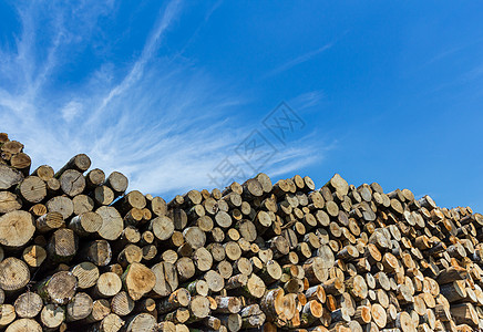 剪切木材堆燃料生态材料库存木头日志储存天空柴堆松树图片