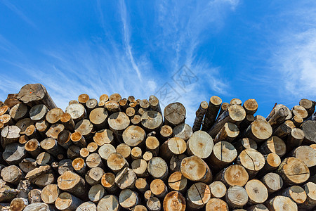 堆堆的木材燃料记录贮存树干库存活力工业森林松树木头图片