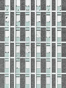 城市建筑外表街道鸟类景观灰色窗户公寓工业框架建筑学建筑物图片