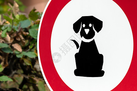 不允许养狗犬类招牌绿色安全风险注意力公园法律标志小狗图片