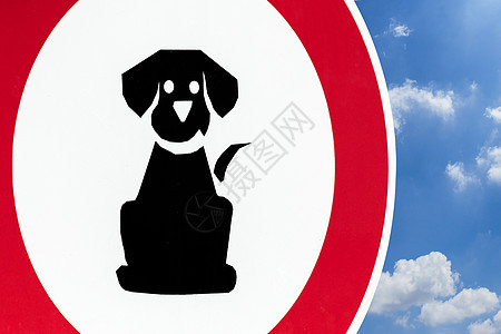 不允许养狗天空警告招牌动物白色风险安全宠物小狗标志图片