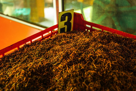P p 中大宗锡兰茶红皮叶干的详情农业环境旅行收成生物机器味道大部分贮存香气图片