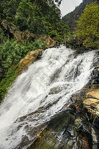 斯里兰卡流动环境荒野植物爬坡岩石木头生态公园石头图片