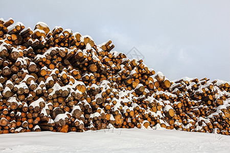 在路旁堆积着雪 覆盖着木柴的原木图片