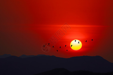 黄昏的夜空在月光山和鸟儿飞翔的天空中日落鸟类蓝色土地森林场景阳光天气国家公园飞行图片