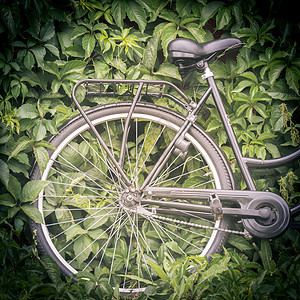 具有背景绿色肥料的自行车图片